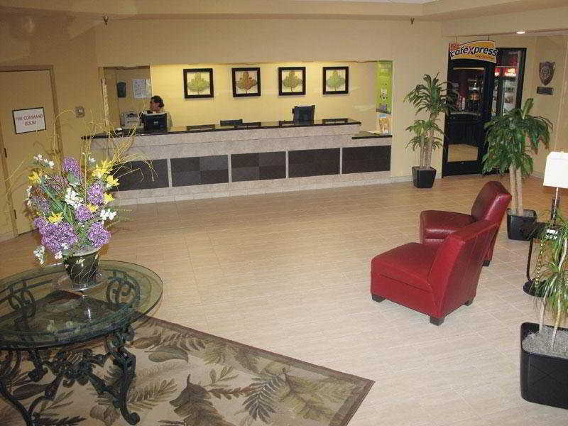 La Quinta By Wyndham Minneapolis Bloomington W - Free Airport Shuttle מראה פנימי תמונה